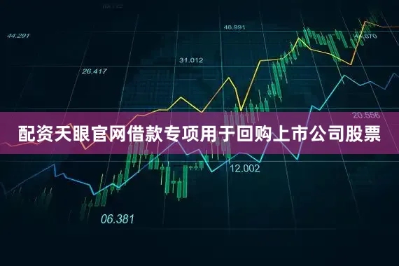 配资天眼官网借款专项用于回购上市公司股票