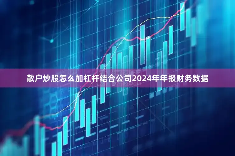 散户炒股怎么加杠杆结合公司2024年年报财务数据