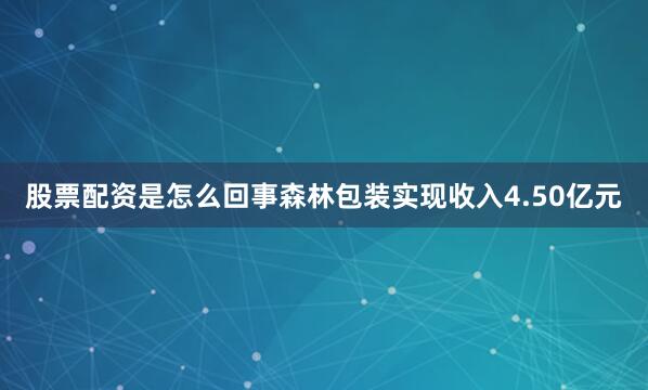 股票配资是怎么回事森林包装实现收入4.50亿元