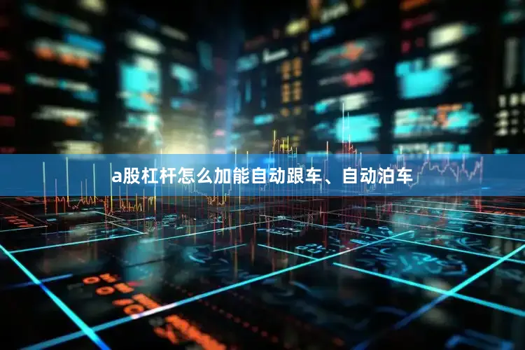 a股杠杆怎么加能自动跟车、自动泊车