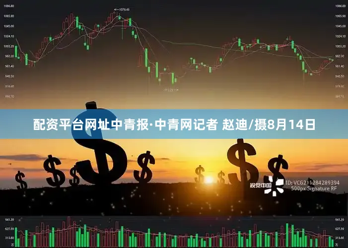 配资平台网址中青报·中青网记者 赵迪/摄8月14日